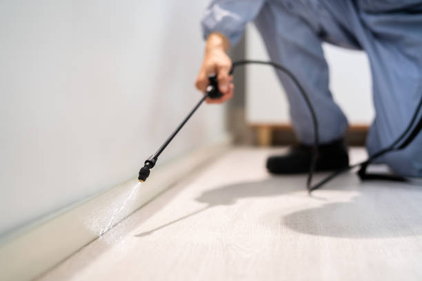 Licensed Pest Control service in Grizzly Flats, CA - Show Me Pest Control