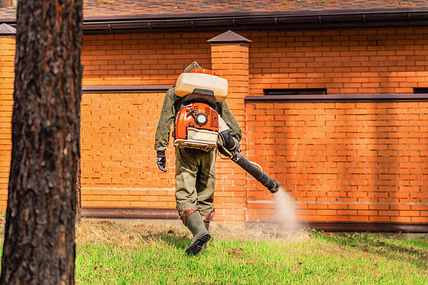 Bed Bug Clearance Verification and Documentation in Grizzly Flats